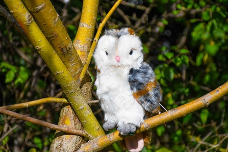 Owl plushie